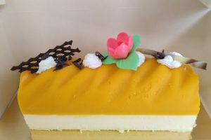 mangue coco